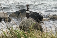 Karbæksminde