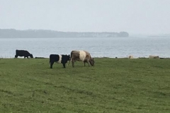 Karbæksminde