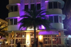 Miami by nigth