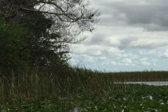 natur 1