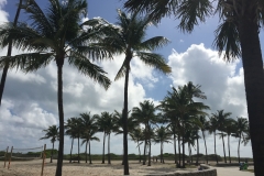 Miami som forventet