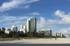 Miami skyline