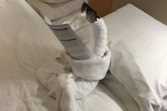 Når rengøringsassistenten har for meget tid
