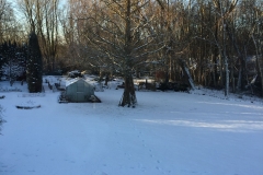 Vinteren feb. 2017